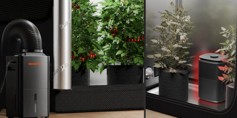 Grow Room Game-Changer