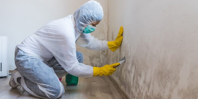 Mold Damage